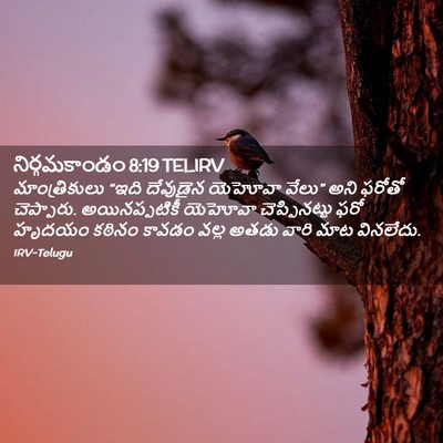 Picture 02 - నిర్గమకాండం 8:19 TELIRV - మాంత్రికులు “ఇది - Bible Verse Picture