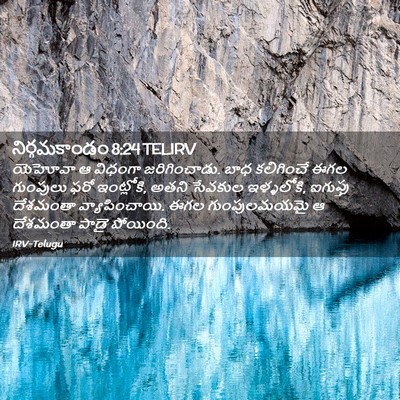 Picture 02 - నిర్గమకాండం 8:24 TELIRV - యెహోవా ఆ విధంగా - Bible Verse Picture