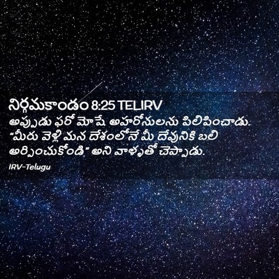 Picture 02 - నిర్గమకాండం 8:25 TELIRV - అప్పుడు ఫరో మోషే - Bible Verse Picture