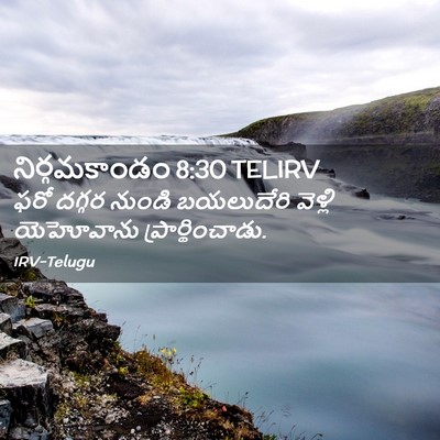 Picture 02 - నిర్గమకాండం 8:30 TELIRV - ఫరో దగ్గర నుండి - Bible Verse Picture