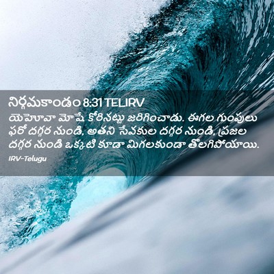 Picture 02 - నిర్గమకాండం 8:31 TELIRV - యెహోవా మోషే - Bible Verse Picture