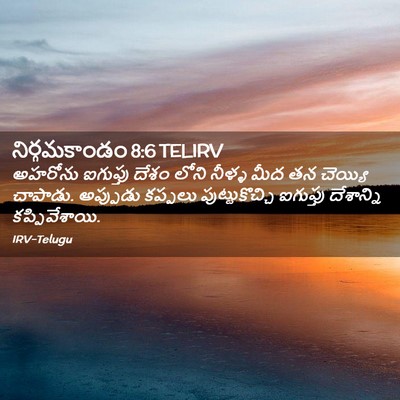 Picture 02 - నిర్గమకాండం 8:6 TELIRV - అహరోను ఐగుప్తు - Bible Verse Picture