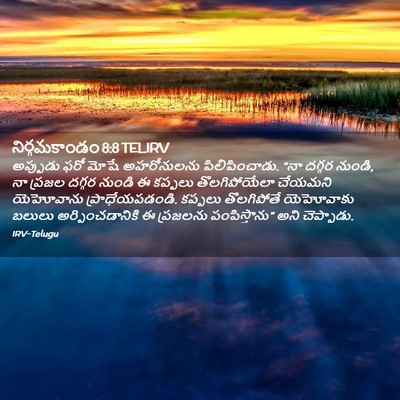 Picture 02 - నిర్గమకాండం 8:8 TELIRV - అప్పుడు ఫరో మోషే - Bible Verse Picture