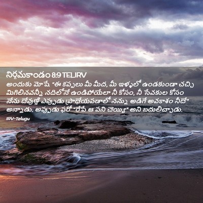 Picture 02 - నిర్గమకాండం 8:9 TELIRV - అందుకు మోషే “ఈ - Bible Verse Picture