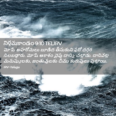 Picture 02 - నిర్గమకాండం 9:10 TELIRV - మోషే అహరోనులు - Bible Verse Picture