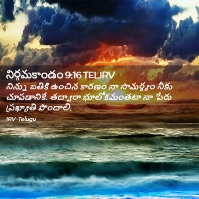 Picture 02 - నిర్గమకాండం 9:16 TELIRV - నిన్ను బతికి - Bible Verse Picture
