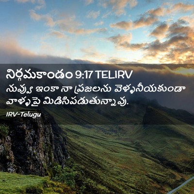 Picture 02 - నిర్గమకాండం 9:17 TELIRV - నువ్వు ఇంకా నా - Bible Verse Picture