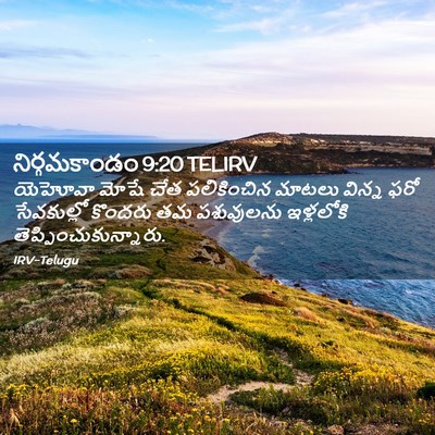 Picture 02 - నిర్గమకాండం 9:20 TELIRV - యెహోవా మోషే చేత - Bible Verse Picture
