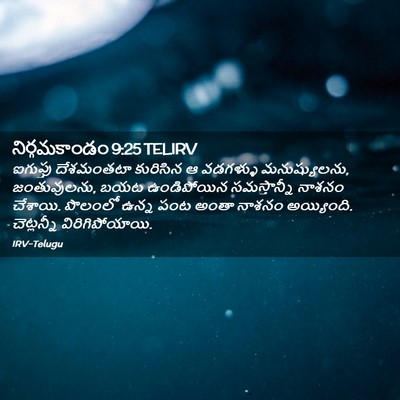 Picture 02 - నిర్గమకాండం 9:25 TELIRV - ఐగుప్తు దేశమంతటా - Bible Verse Picture