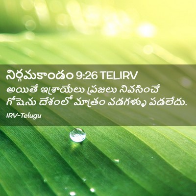 Picture 02 - నిర్గమకాండం 9:26 TELIRV - అయితే ఇశ్రాయేలు - Bible Verse Picture