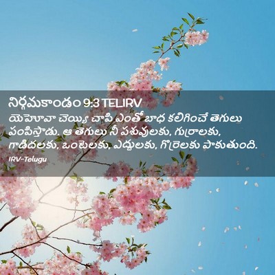 Picture 02 - నిర్గమకాండం 9:3 TELIRV - యెహోవా చెయ్యి - Bible Verse Picture
