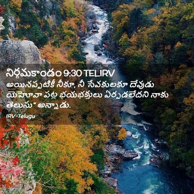 Picture 02 - నిర్గమకాండం 9:30 TELIRV - అయినప్పటికీ నీకూ, - Bible Verse Picture