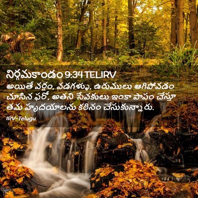 Picture 02 - నిర్గమకాండం 9:34 TELIRV - అయితే వర్షం, - Bible Verse Picture
