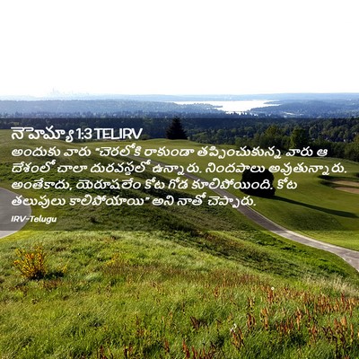 Picture 02 - నెహెమ్యా 1:3 TELIRV - అందుకు వారు - Bible Verse Picture