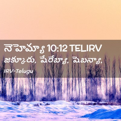 Picture 02 - నెహెమ్యా 10:12 TELIRV - జక్కూరు, షేరేబ్యా, - Bible Verse Picture