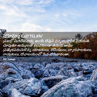 Picture 02 - నెహెమ్యా 10:27 TELIRV - ప్రజల్లో - Bible Verse Picture