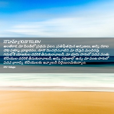 Picture 02 - నెహెమ్యా 10:37 TELIRV - అంతేకాక, మా - Bible Verse Picture