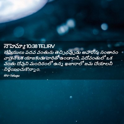 Picture 02 - నెహెమ్యా 10:38 TELIRV - లేవీయులు పదవ - Bible Verse Picture