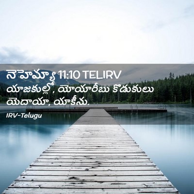 Picture 02 - నెహెమ్యా 11:10 TELIRV - యాజకుల్లో, - Bible Verse Picture
