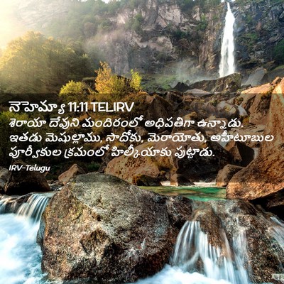Picture 02 - నెహెమ్యా 11:11 TELIRV - శెరాయా దేవుని - Bible Verse Picture