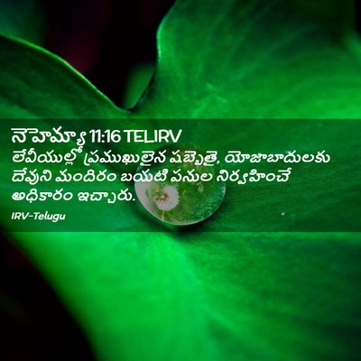 Picture 02 - నెహెమ్యా 11:16 TELIRV - లేవీయుల్లో - Bible Verse Picture