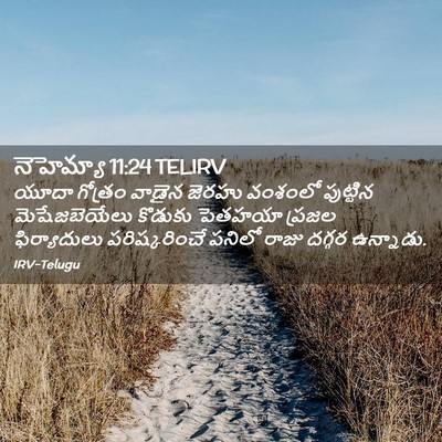 Picture 02 - నెహెమ్యా 11:24 TELIRV - యూదా గోత్రం వాడైన - Bible Verse Picture