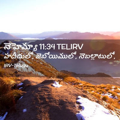 Picture 02 - నెహెమ్యా 11:34 TELIRV - హదీదులో, - Bible Verse Picture
