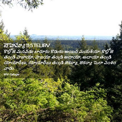 Picture 02 - నెహెమ్యా 11:5 TELIRV - కొల్హోజె మనవడు - Bible Verse Picture