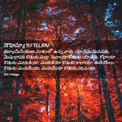 Picture 02 - నెహెమ్యా 11:7 TELIRV - బెన్యామీనీయుల - Bible Verse Picture