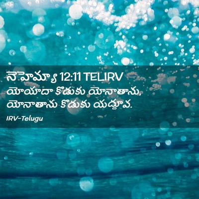 Picture 02 - నెహెమ్యా 12:11 TELIRV - యోయాదా కొడుకు - Bible Verse Picture