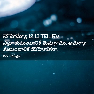 Picture 02 - నెహెమ్యా 12:13 TELIRV - ఎజ్రా కుటుంబానికి - Bible Verse Picture