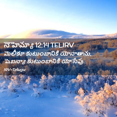 Picture 02 - నెహెమ్యా 12:14 TELIRV - మెలీకూ - Bible Verse Picture