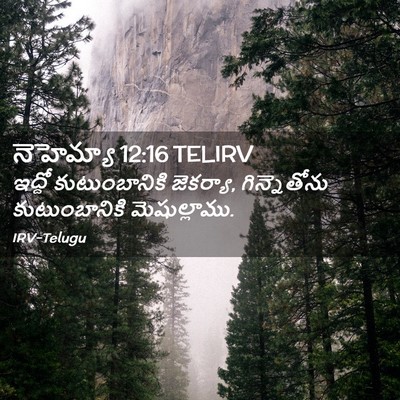 Picture 02 - నెహెమ్యా 12:16 TELIRV - ఇద్దో కుటుంబానికి - Bible Verse Picture