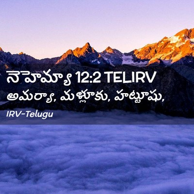 Picture 02 - నెహెమ్యా 12:2 TELIRV - అమర్యా, మళ్లూకు, - Bible Verse Picture