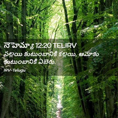 Picture 02 - నెహెమ్యా 12:20 TELIRV - సల్లయి - Bible Verse Picture