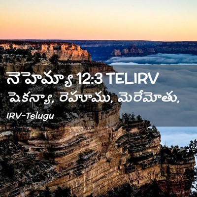Picture 02 - నెహెమ్యా 12:3 TELIRV - షెకన్యా, రెహూము, - Bible Verse Picture
