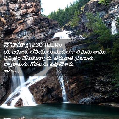 Picture 02 - నెహెమ్యా 12:30 TELIRV - యాజకులు, లేవీయులు - Bible Verse Picture