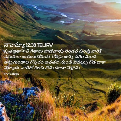 Picture 02 - నెహెమ్యా 12:38 TELIRV - కృతజ్ఞతాస్తుతి - Bible Verse Picture