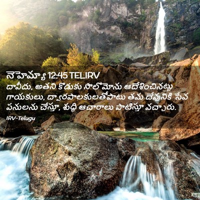 Picture 02 - నెహెమ్యా 12:45 TELIRV - దావీదు, అతని - Bible Verse Picture