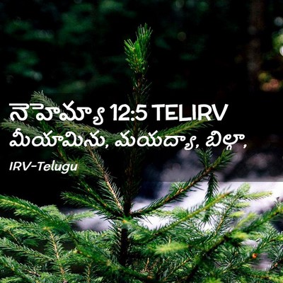 Picture 02 - నెహెమ్యా 12:5 TELIRV - మీయామిను, మయద్యా, - Bible Verse Picture