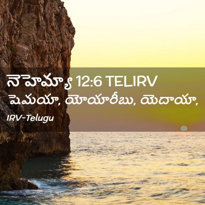 Picture 02 - నెహెమ్యా 12:6 TELIRV - షెమయా, యోయారీబు, - Bible Verse Picture
