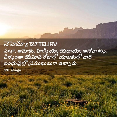 Picture 02 - నెహెమ్యా 12:7 TELIRV - సల్లూ, ఆమోకు, - Bible Verse Picture