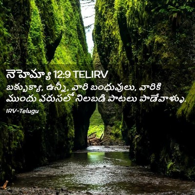 Picture 02 - నెహెమ్యా 12:9 TELIRV - బక్బుక్యా, ఉన్నీ, - Bible Verse Picture