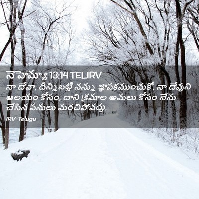 Picture 02 - నెహెమ్యా 13:14 TELIRV - నా దేవా, - Bible Verse Picture