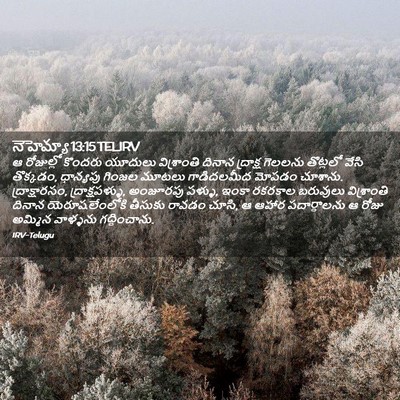 Picture 02 - నెహెమ్యా 13:15 TELIRV - ఆ రోజుల్లో కొందరు - Bible Verse Picture