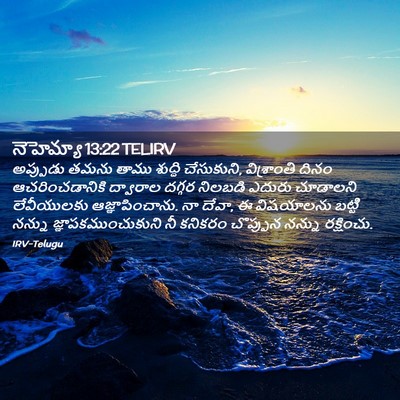 Picture 02 - నెహెమ్యా 13:22 TELIRV - అప్పుడు తమను తాము - Bible Verse Picture