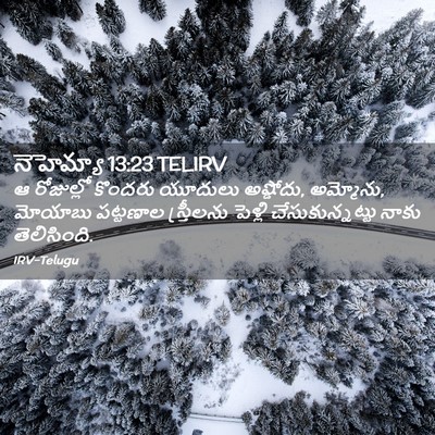 Picture 02 - నెహెమ్యా 13:23 TELIRV - ఆ రోజుల్లో కొందరు - Bible Verse Picture