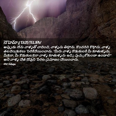 Picture 02 - నెహెమ్యా 13:25 TELIRV - అప్పుడు నేను - Bible Verse Picture