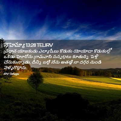 Picture 02 - నెహెమ్యా 13:28 TELIRV - ప్రధాన యాజకుడు - Bible Verse Picture
