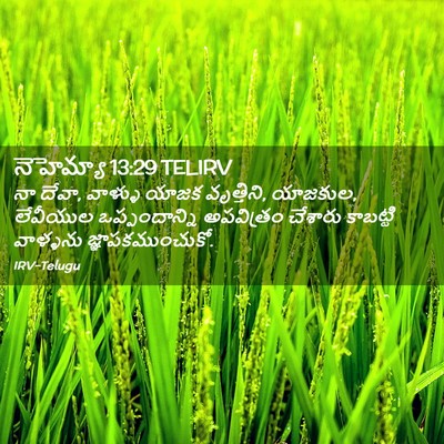 Picture 02 - నెహెమ్యా 13:29 TELIRV - నా దేవా, వాళ్ళు - Bible Verse Picture